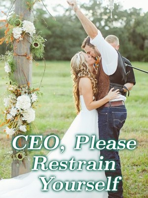 CEO, Please Restrain Yourself,