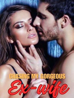 Chasing My Gorgeous Ex-wife,