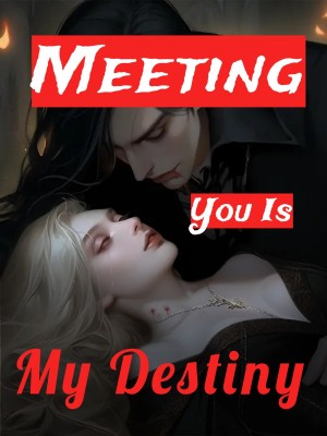 Meeting You Is My Destiny