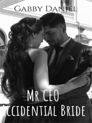 Mr CEO Accidental Bride,Gabby123