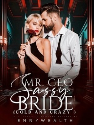 Mr. CEO Sassy Bride,Ennywealth