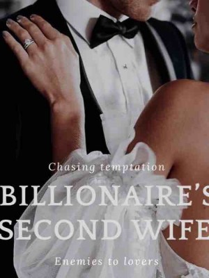 Billionaires Second Wife,Aubreystephanie