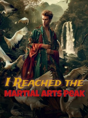 I Reached the Martial Arts Peak,