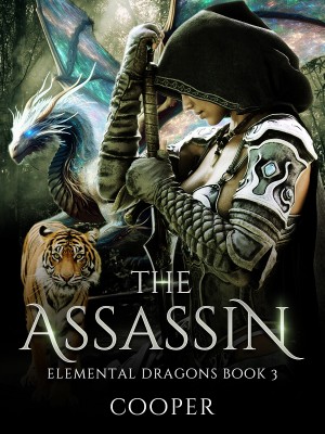 The Assassin,Cooper