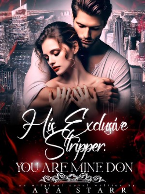His Exclusive Stripper: You Are Mine Don,Aya Starr