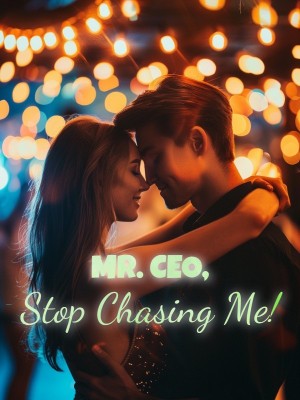 Mr. CEO, Stop Chasing Me!,