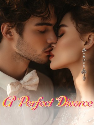 A Perfect Divorce,