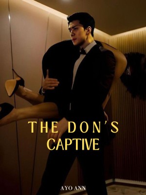 The Don's Captive,Ayo Ann