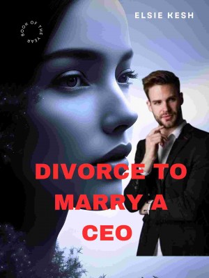Divorce To Marry A CEO,Elsie Kesh