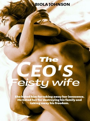 The CEO's Feisty Wife,Biola Johnson