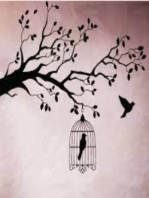 Why the Caged Bird SINGS