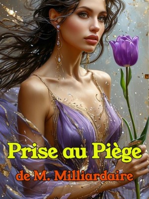 Prise au Piège de M. Milliardaire