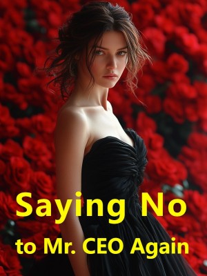 Saying No to Mr. CEO Again,