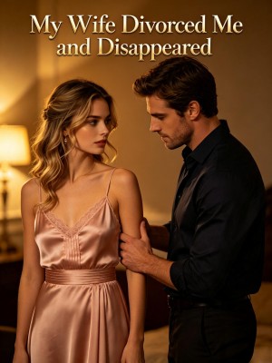 My Wife Divorced Me and Disappeared,