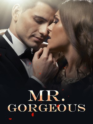 Mr. Gorgeous,iReader