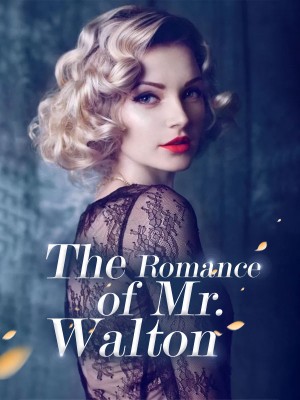 The Romance of Mr. Walton,iReader