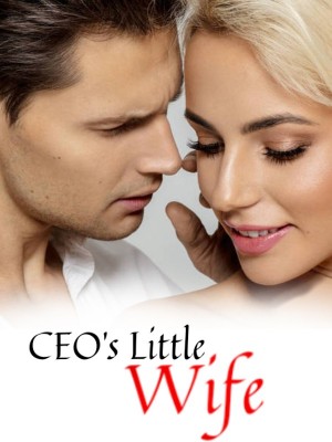 CEO's Little Wife,