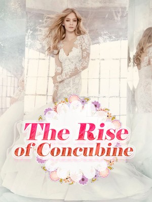 The Rise of Concubine,iReader