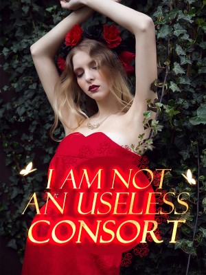 I Am Not An Useless Consort,iReader