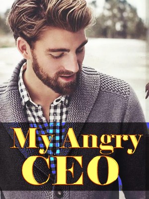 My Angry CEO