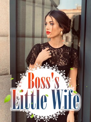 Boss's Little Wife,iReader