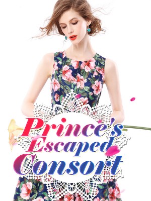 Prince's Escaped Consort,iReader