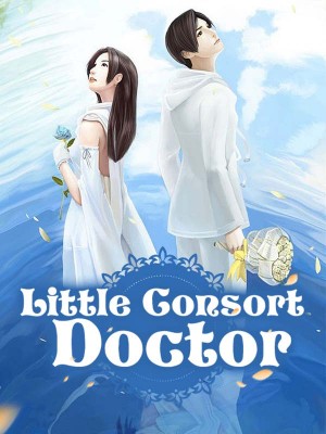 Little Consort Doctor,iReader