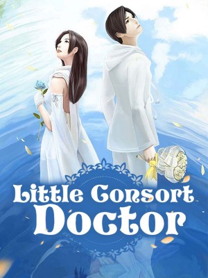 Little Consort Doctor,iReader