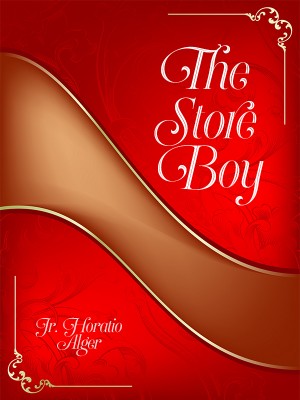 The Store Boy,Jr. Horatio Alger