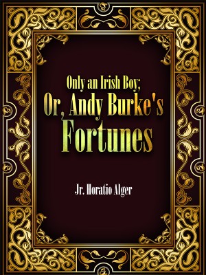 Only an Irish Boy; Or, Andy Burke's Fortunes,Jr. Horatio Alger
