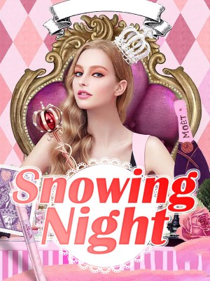 Snowing Night,