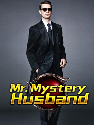 Mr. Mystery Husband,