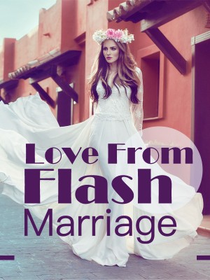 Love From Flash Marriage,