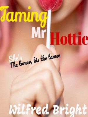 Taming Mr Hottie,Wil B