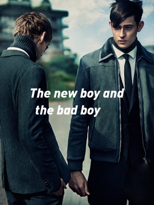 The new boy and the bad boy,Atinylover