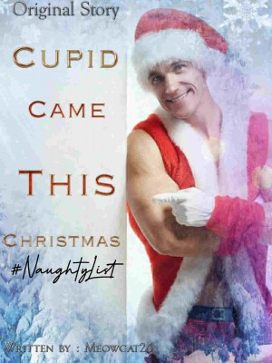 Cupid came this Christmas!,Meowcat24