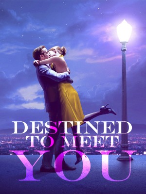 Destined To Meet You