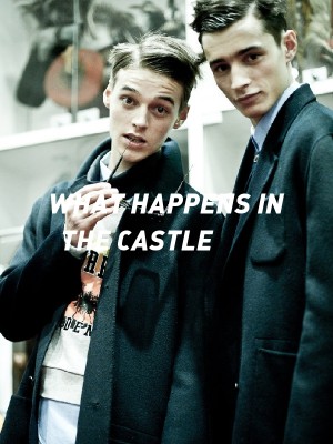 WHAT HAPPENS IN THE CASTLE,Storiesandmore20
