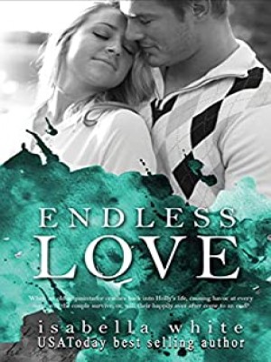 Endless Love (Jake And Holly Story)