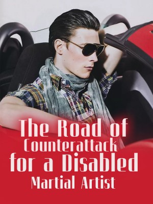 The Road of Counterattack for a Disabled Martial Artist,