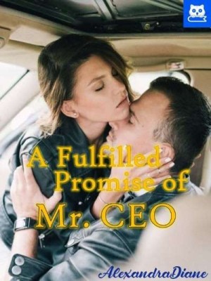 A fulfilled Promise of Mr CEO (book 2 of CEO's),AlexandraDiane