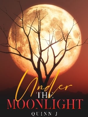 Under The Moonlight,Quinn J