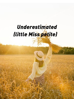 Underestimated (little Miss petite),Ava John