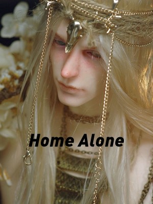 Home Alone,xiao wanzi