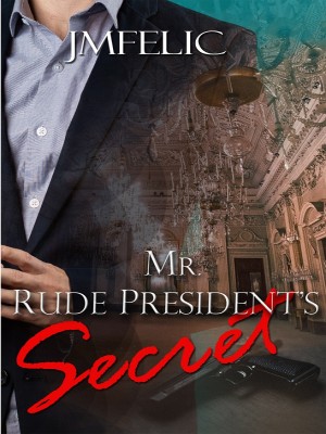 MR. RUDE PRESIDENT'S SECRET,J.M. Felic