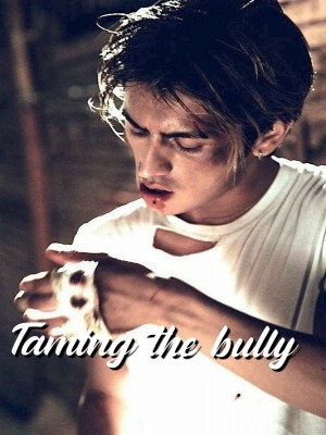 Taming The Bully,Latha56
