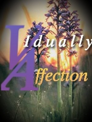 Vidually Affection,MissFauriou