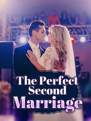 The Perfect Second Marriage