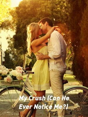 My Crush (Can He Ever Notice Me?),Authoress Faith library