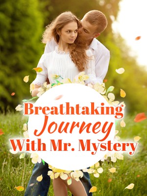 Breathtaking Journey With Mr. Mystery,